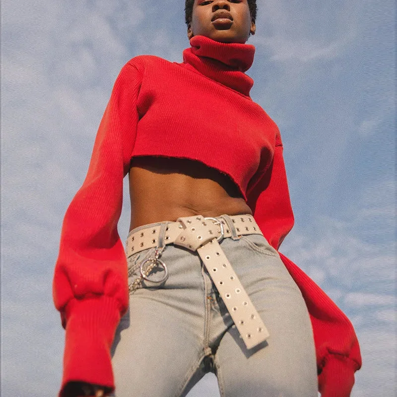 Final Sale Casual Loose Sexy Solid TurtleNeck Long Sleeve Knit Crop Christmas Sweater